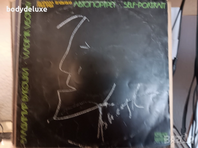 винилови грамофонни плочи, снимка 13 - Грамофонни плочи - 35786118