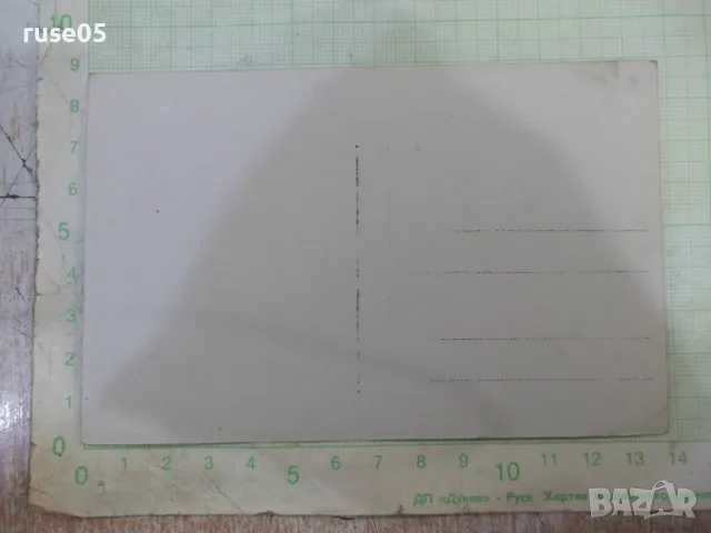 Снимка стара на сватбари, снимка 2 - Колекции - 48001600