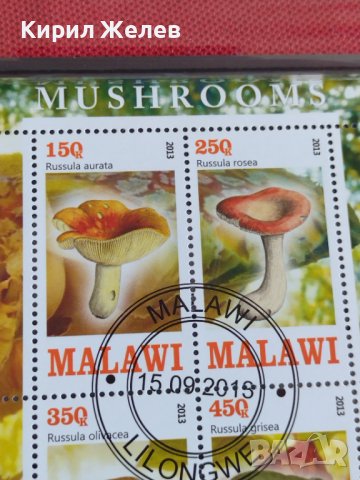 Пощенски марки чиста комплектна серия ГЪБИ 2013г. поща Малави за колекция 29802, снимка 6 - Филателия - 37689347