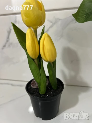 Лалета , снимка 5 - Декорация за дома - 50814177