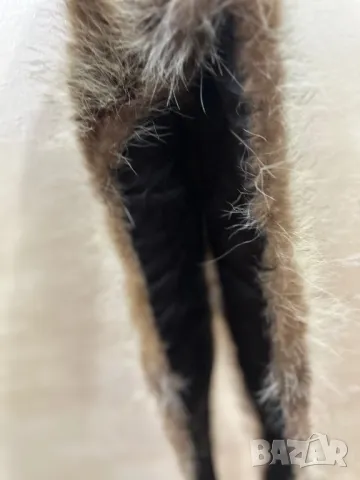 Богата немска лисича яка 117 см 🇩🇪, снимка 12 - Други - 47539639
