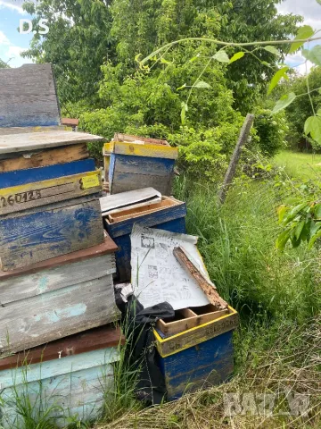 Продавам кошери , снимка 2 - За пчели - 50269935