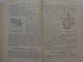 Книга Леки автомобили Рено София 1960 год Експлуатация и поддържане на Български език, снимка 12