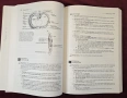 Clinical Anatomy 3rd edition, снимка 6