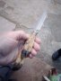 Ловджийски правен нож с краче от кошута, снимка 1 - Ножове - 44084448