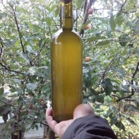 Домашен Ябълков оцет в стъклени бутилки, снимка 7 - Домашни продукти - 26615498