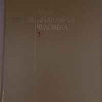 Атлас анатомии человека - Том 3 -Р. Д. Синельников, снимка 1 - Специализирана литература - 34695067