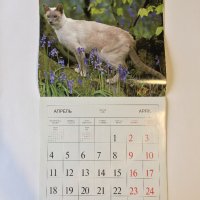 Стенен календар 2011 Котки, снимка 8 - Други - 38776717