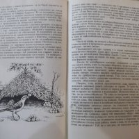 Книга "Дивото наследство на природата-Сали Каригар"-224 стр., снимка 6 - Специализирана литература - 43300882