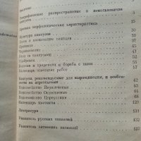 В мире кактусов - Р.Удалова,Н.Вьюгина - 1983 г., снимка 4 - Енциклопедии, справочници - 32651164