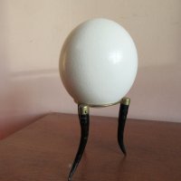 Щраусово яйце, снимка 1 - Декорация за дома - 43895670