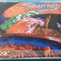 The Last Poets(feat.Bill Laswell) – 1993 - Holy Terror(Conscious), снимка 5 - CD дискове - 43016132