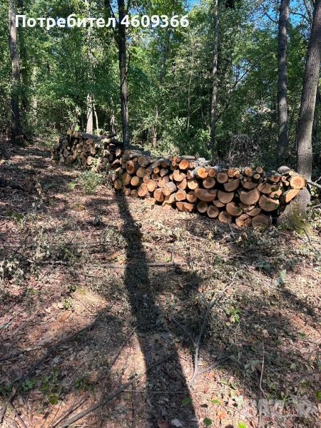 Дърва за огрев , снимка 1