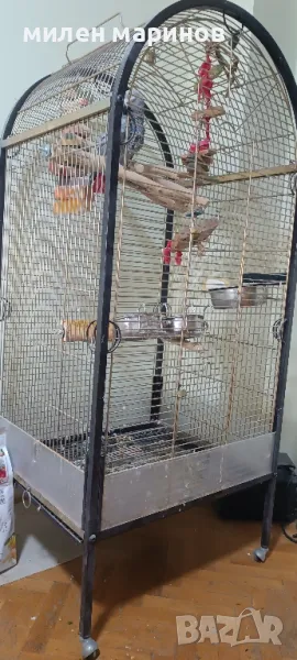 клетка, снимка 1