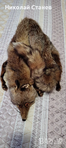 Продавам яка от лисица, снимка 1