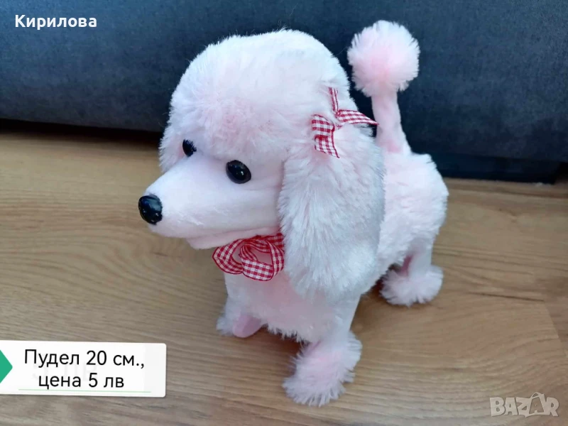 куче пудел, снимка 1