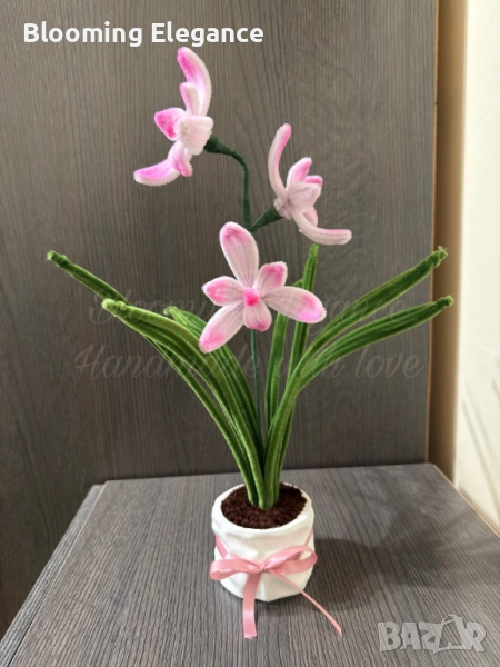 Вечна орхидея, снимка 1