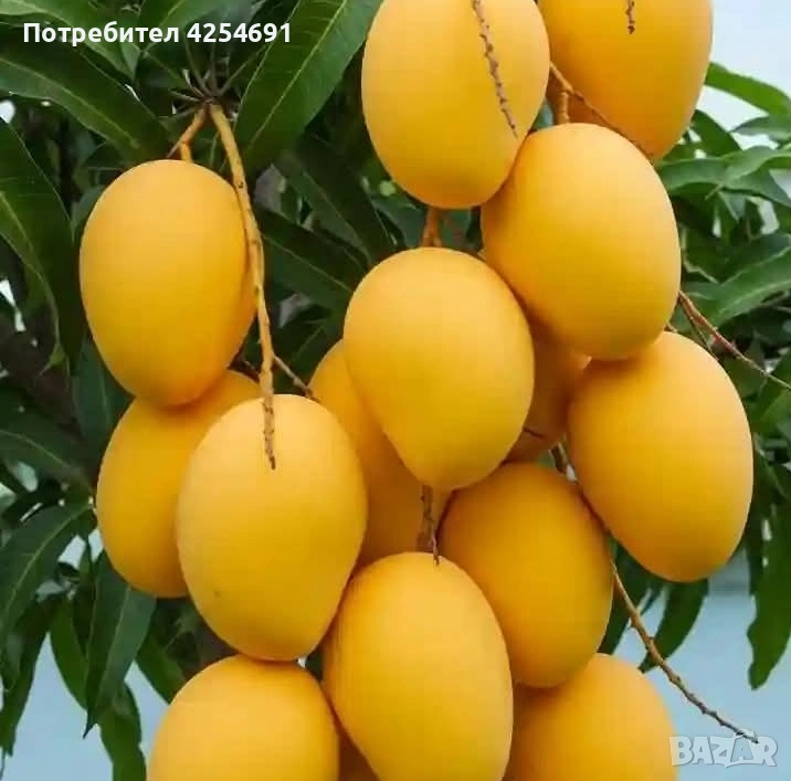 Оферта за заем за недвижими имоти или търговски заем, снимка 1