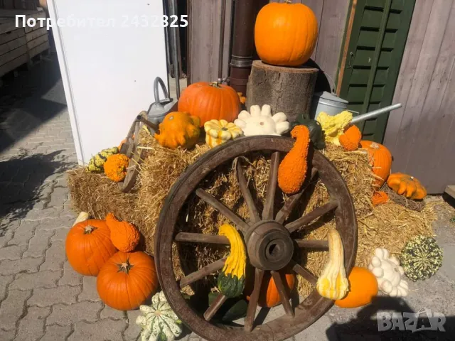 Бали слама за декорация, фотосесии, Хелоуин, мулчиране, за животни , снимка 5 - Декорация - 47597523