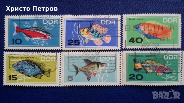 ГДР /ГЕРМАНИЯ/ 1966 - ФАУНА, ЕКЗОТИЧНИ РИБИ АКВАРИУМНИ