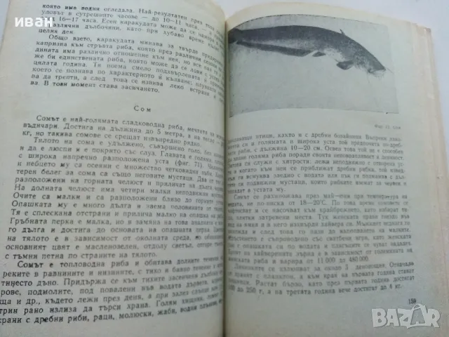 За младия Ловец и Риболовец - Б.Арнаудов,Г.Оцетов - 1975г., снимка 6 - Енциклопедии, справочници - 50241316