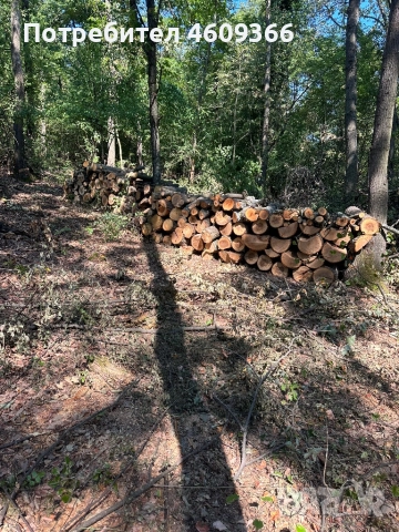 Дърва за огрев 