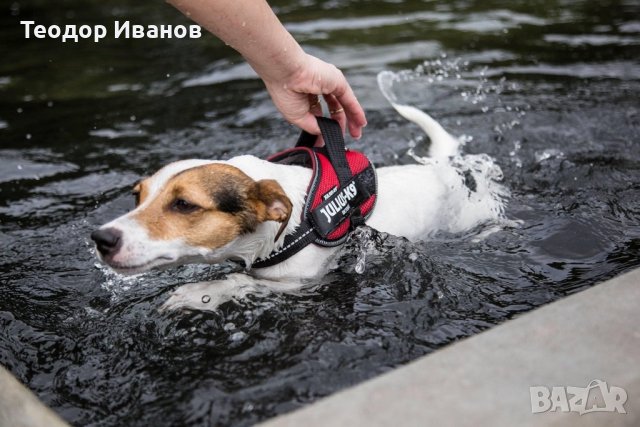 Нагръдник Julius k-9 до 15 кг, снимка 2 - Джак ръсел териер - 37209922