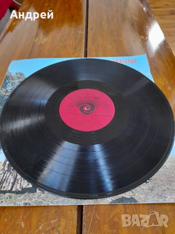 Грамофонна плоча Цигански Песни, снимка 2 - Грамофонни плочи - 32877717