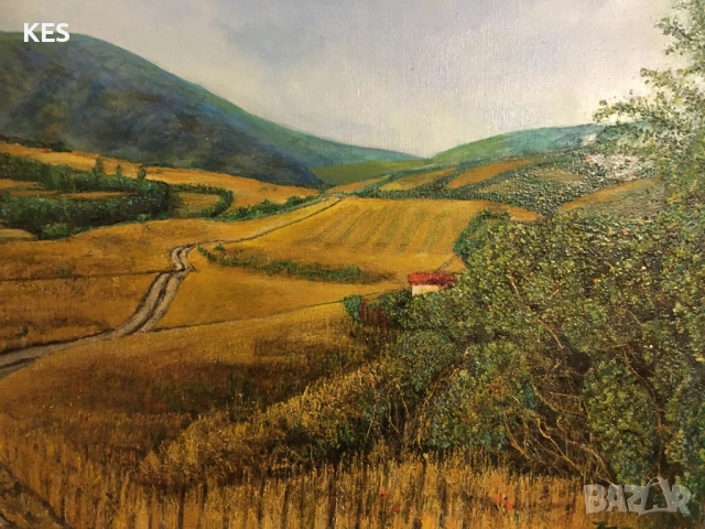 Гледка към Витоша