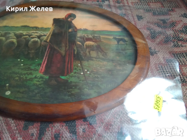 Картина на овчарка 53683, снимка 10 - Картини - 53390595