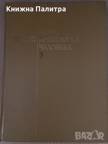 Атлас анатомии человека - Том 3 -Р. Д. Синельников, снимка 1 - Специализирана литература - 34695067