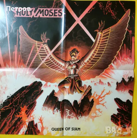 Метъл плакати 58/58 см (Razor, Protector, Exumer, Holy Moses, Tank и мн. други) , снимка 10 - Други музикални жанрове - 47128246