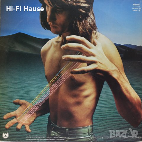 Todd Rundgren-Back To The Bars-Грамофонна плоча -LP 12”, снимка 2 - Грамофонни плочи - 39542822