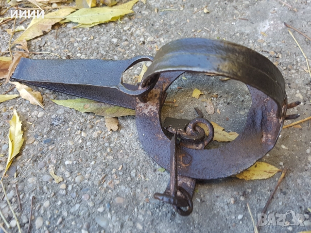 Капан клюса