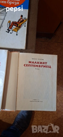 Книги по договаряне може и наведнъж, снимка 11 - Други - 53266631