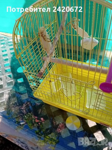   немска  клетка за  папагал, снимка 3 - Други ценни предмети - 43144413