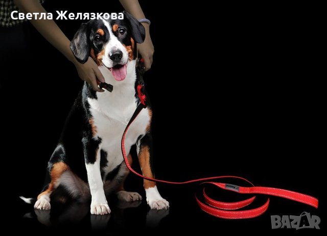 Комплект светлоотразителни кучешки нашийник и каишка, снимка 2 - За кучета - 43732202