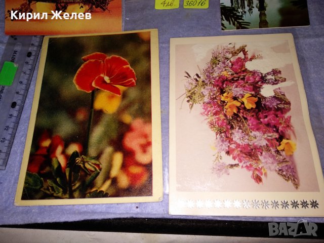 ЛОТ 4 Стари ПОЩЕНСКИ КАРТИЧКИ ФЛОРАЛНА ТЕМАТИКА ЦВЕТЯ ПРАЗНИЦИ 36016, снимка 2 - Филателия - 39421418
