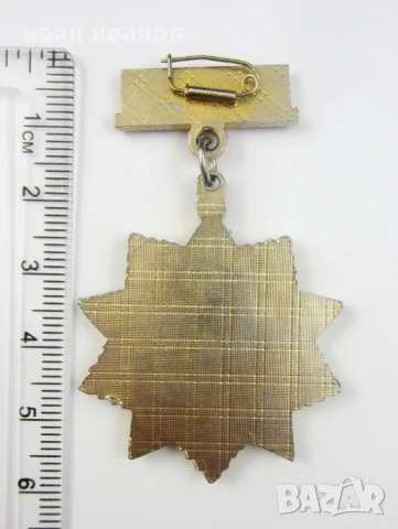 Монголия-Орден на трудовата слава-Оригинал, снимка 3 - Колекции - 51141139