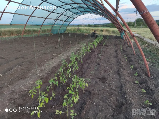 Холандско хале конструкция , снимка 11 - Складове - 47624110