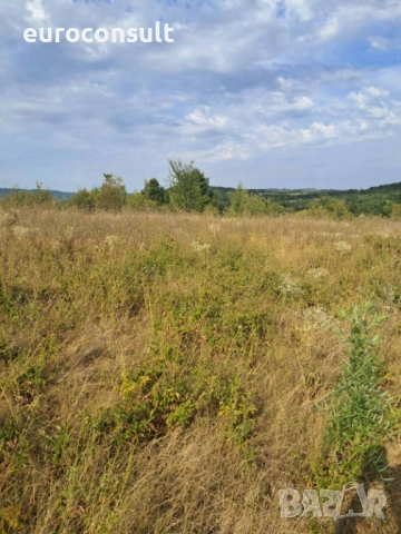 Парцел гр Севлиево 3605 кв.м ,местност "Севлиевски лозя",високата част , снимка 5 - Парцели - 52206441