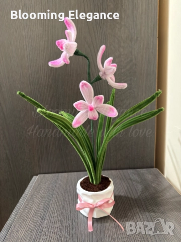 Вечна орхидея