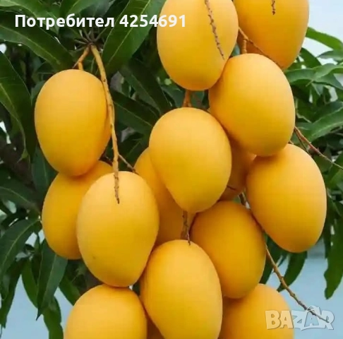 Оферта за заем за недвижими имоти или търговски заем