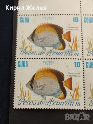 Пощенски марки чисти АКВАРИУМНИ РИБКИ поща КУБА за КОЛЕКЦИЯ ДЕКОРАЦИЯ 46512, снимка 4 - Филателия - 47320846
