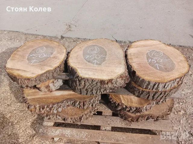 дървен материал шайби от орех , снимка 6 - Други стоки за дома - 47752592