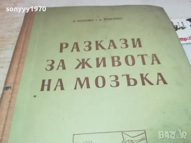 РАЗКАЗИ ЗА ЖИВОТА НА МОЗЪКА 1901251411, снимка 4 - Специализирана литература - 48739259