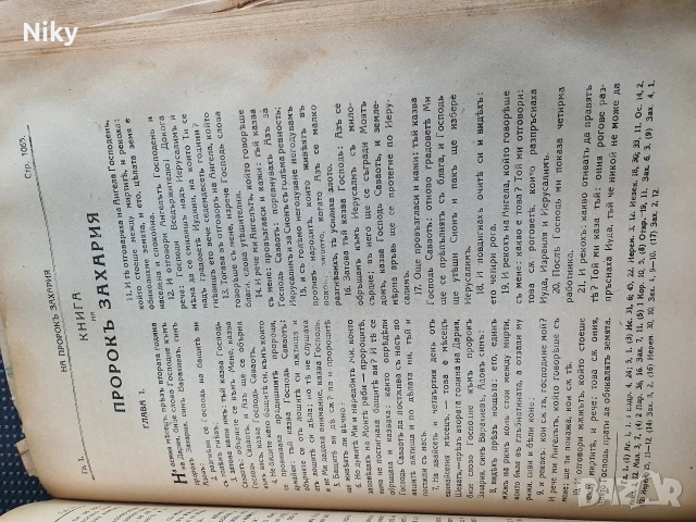 Библия-Семейна Литопис 1925г. , снимка 12 - Антикварни и старинни предмети - 52721150