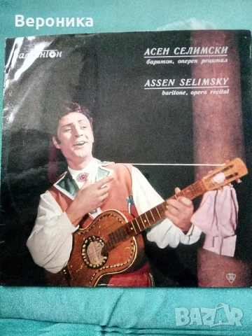 Разни грамофонни плочи, снимка 15 - Грамофонни плочи - 52582227