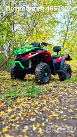 Linhai Yamaha 300 4x4, снимка 4 - Мотоциклети и мототехника - 52674348