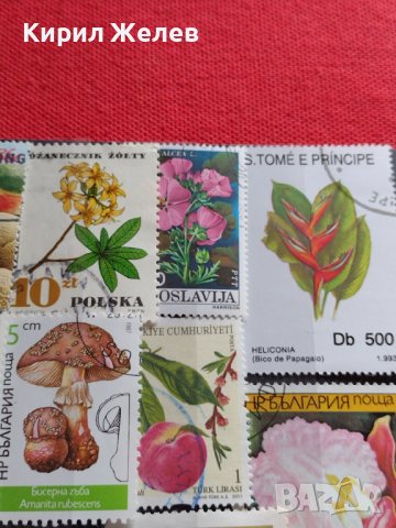 Пощенски марки серия ЦВЕТЯ поща България, Югославия редки за КОЛЕКЦИЯ 22659, снимка 6 - Филателия - 40316538